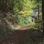 Ξενοδοχείο Zugbruecke Grenzau Gmbh