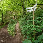 Zugbruecke Grenzau Gmbh Höhr-Grenzhausen