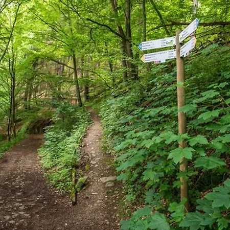Zugbruecke Grenzau Gmbh 호그렌즈하우젠