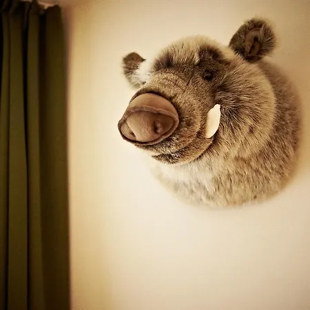 Zugbruecke Grenzau Gmbh