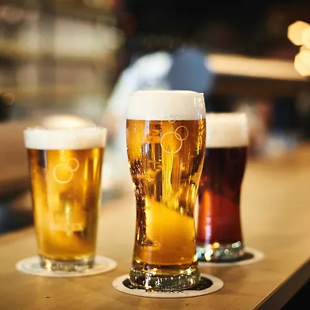 Zugbruecke Grenzau Gmbh 4*