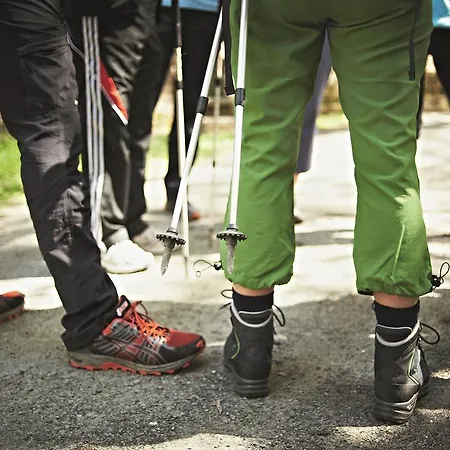 Zugbruecke Grenzau Gmbh Höhr-Grenzhausen