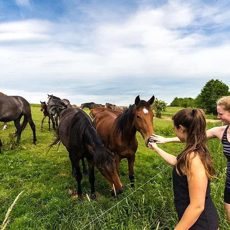 Szálloda Zugbruecke Grenzau Gmbh Höhr-Grenzhausen