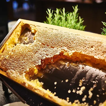 Zugbruecke Grenzau Gmbh Höhr-Grenzhausen