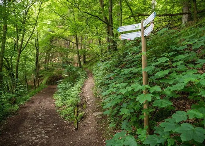 Zugbruecke Grenzau Gmbh Höhr-Grenzhausen