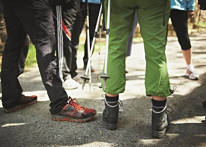 Zugbruecke Grenzau Gmbh Höhr-Grenzhausen