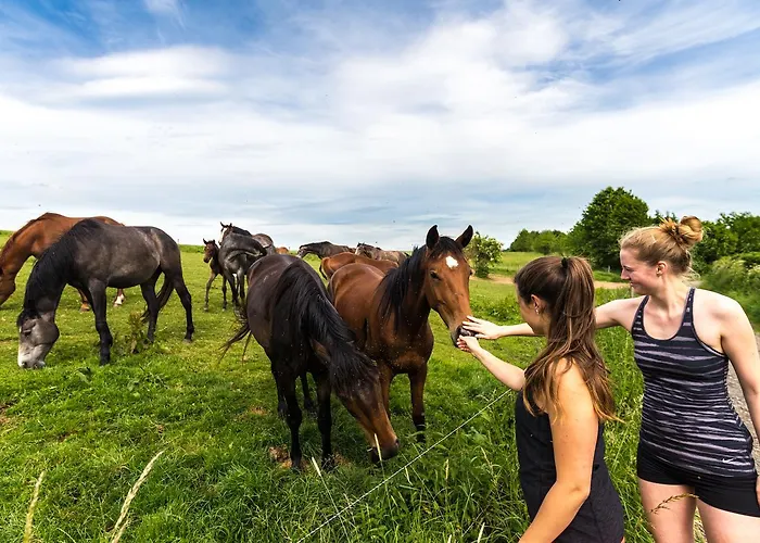Hotell Zugbruecke Grenzau Gmbh Höhr-Grenzhausen