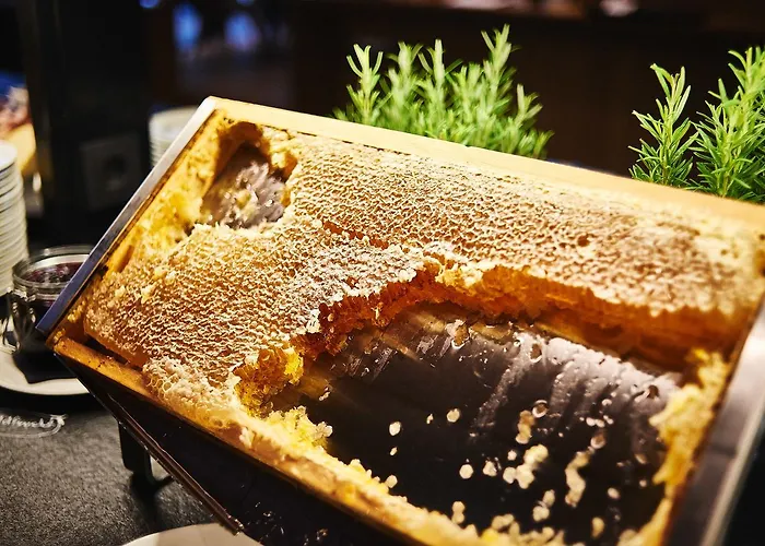 Zugbrücke Grenzau Höhr-Grenzhausen